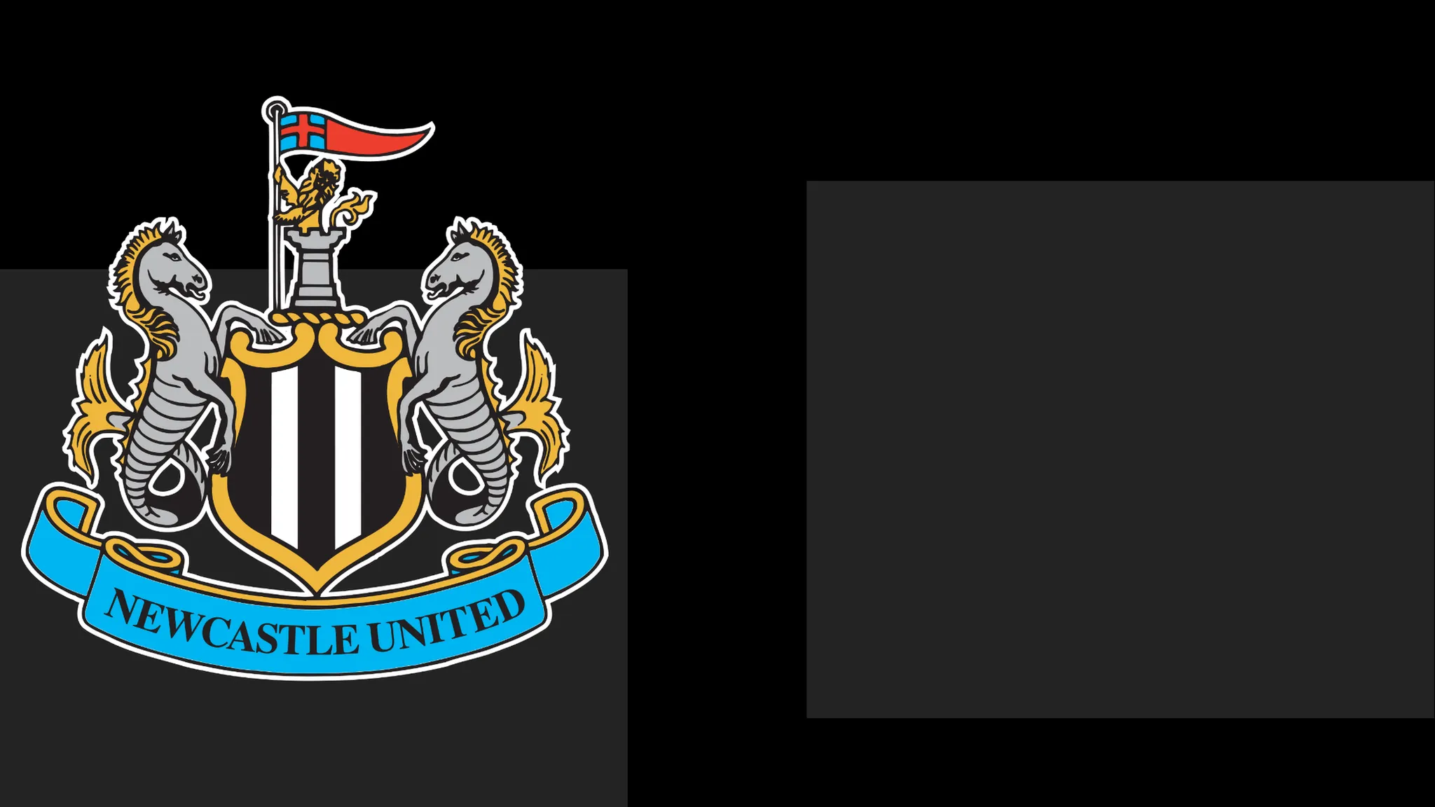 Newcastle Issue Statement of Regret to Followers Over Season Ticket Dispute