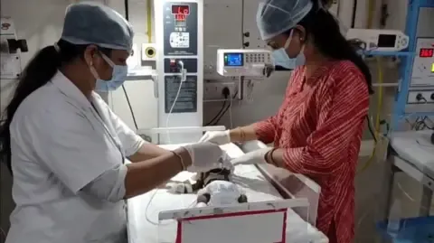 Infant Placed Alive in the Country Battles for Survival