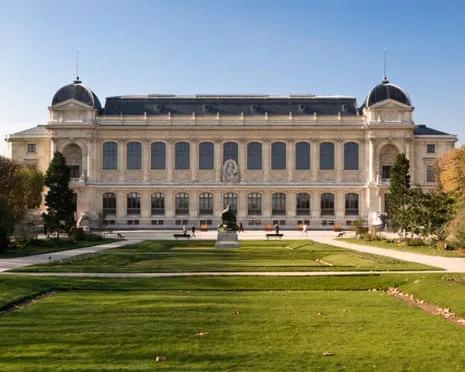 Priceless Gold Samples Snatched in Audacious Heist at French National Museum