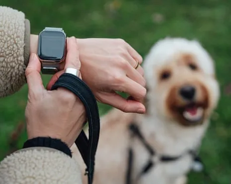 The Reality Regarding Fitness Trackers? Living Feels Fuller Devoid of a Nagging Zealot on Your Wrist